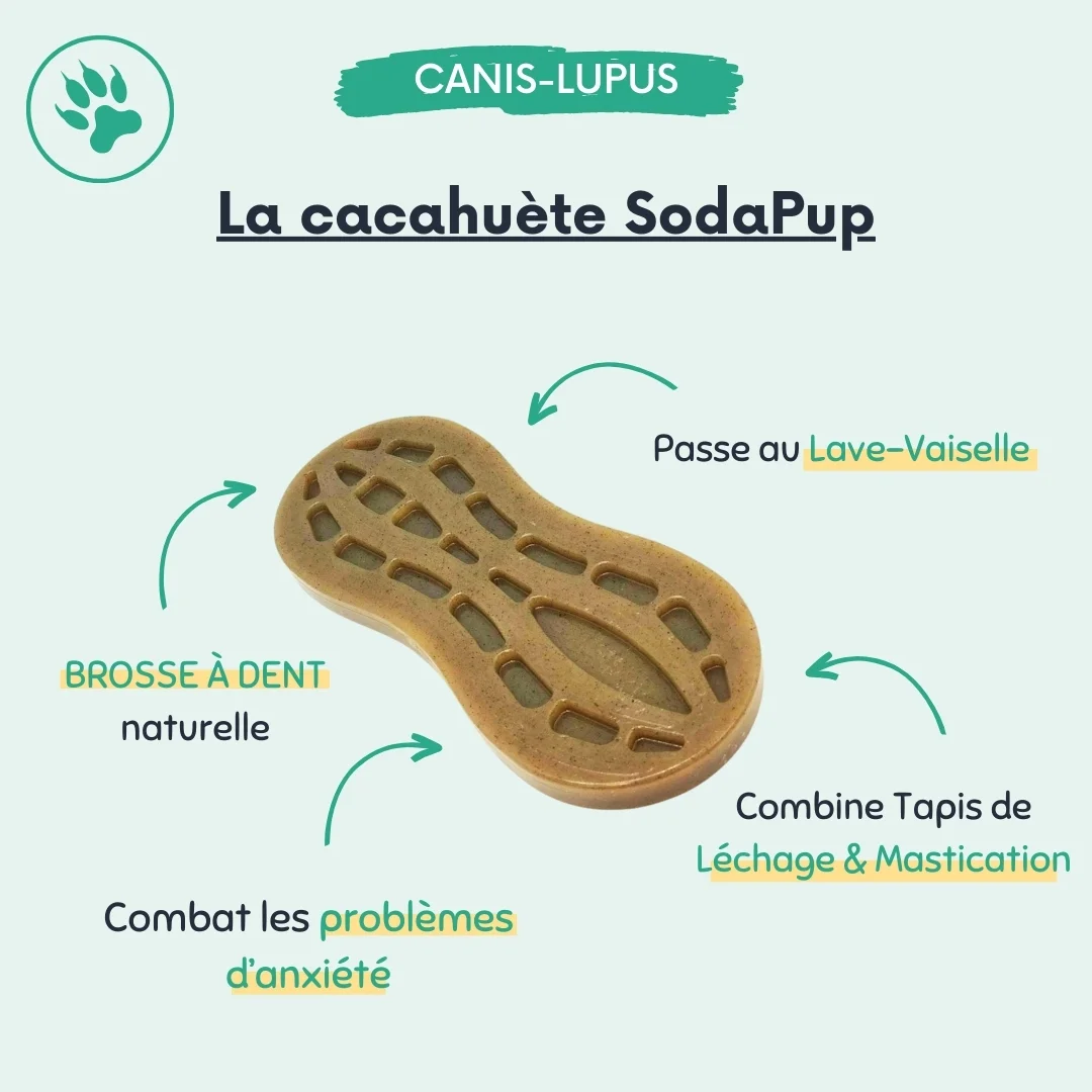 Cacahuète Nylon SodaPup
