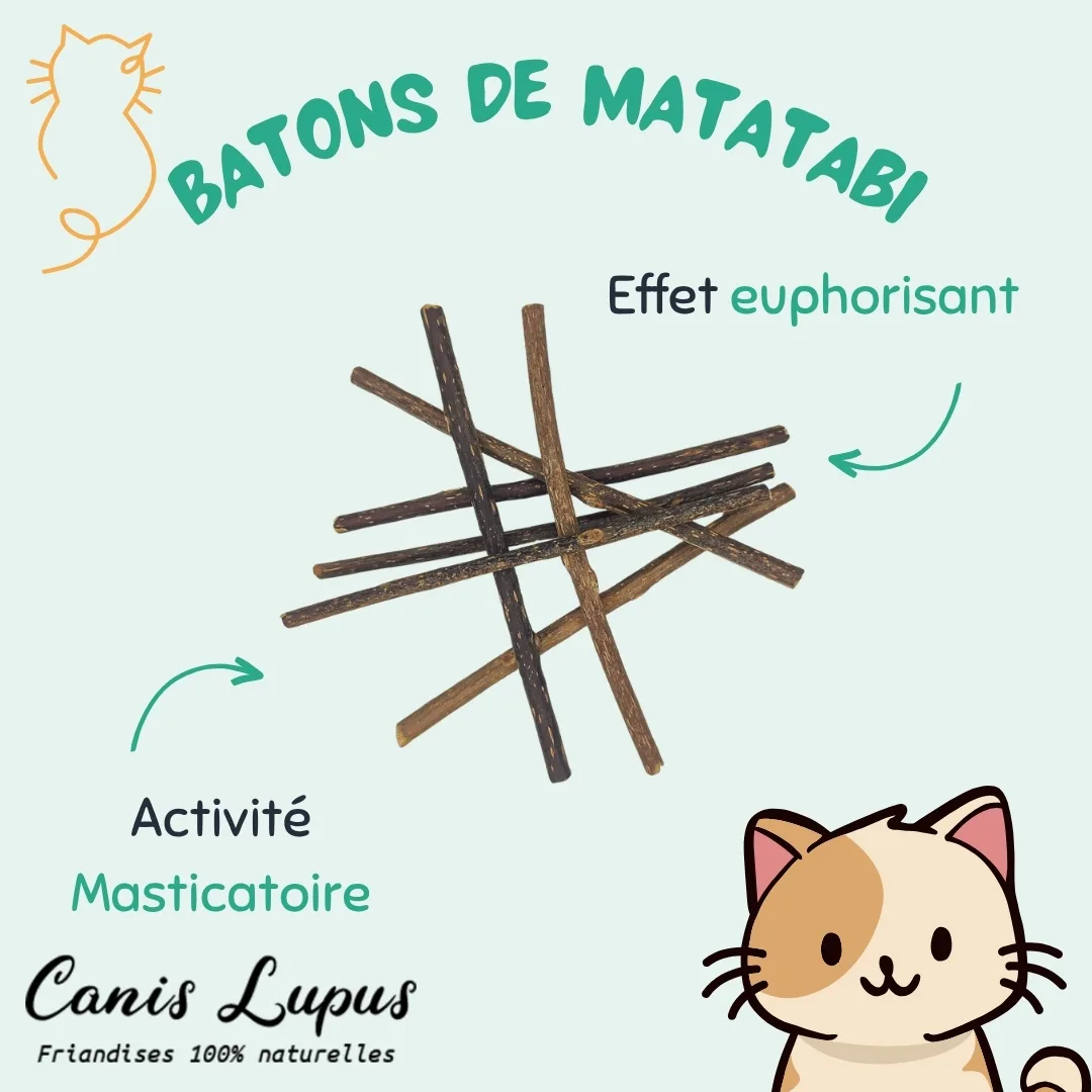 Batons de Matatabi