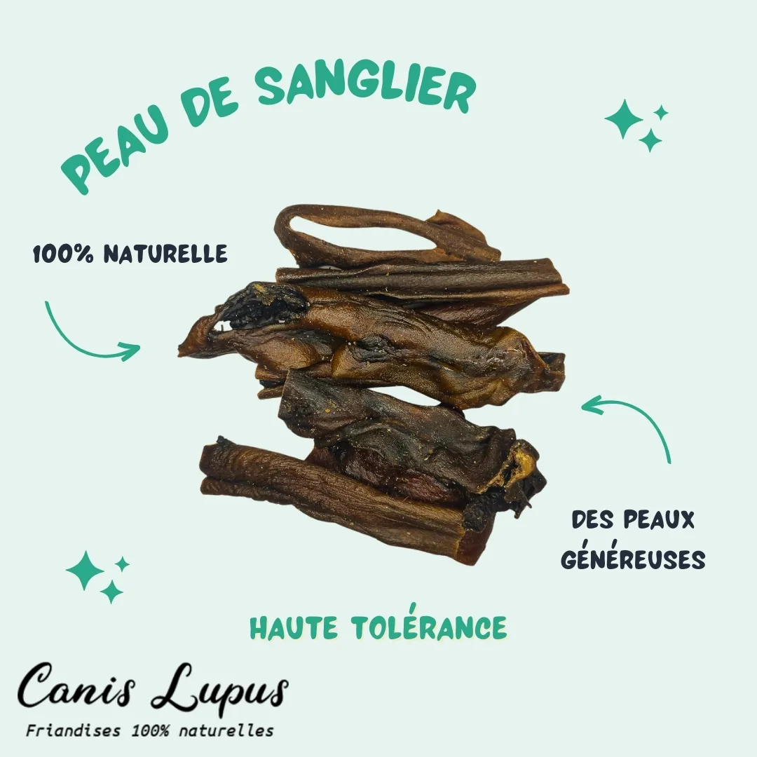 Peau de Sanglier