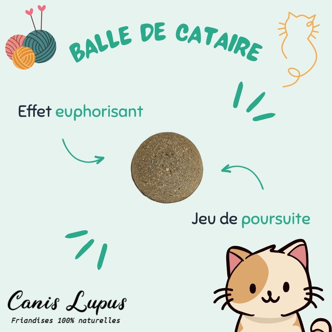 Balle de Cataire