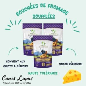 Bouchées de Fromage Soufflées