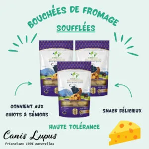 Bouchées de Fromage Soufflées