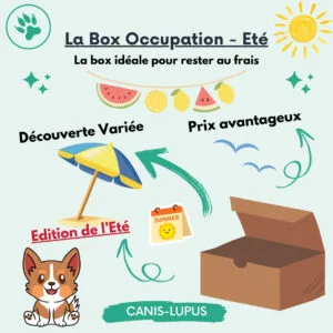 La Box Occupation Eté