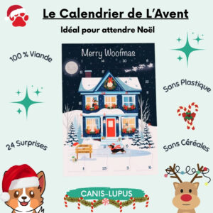 Calendrier de L'Avent