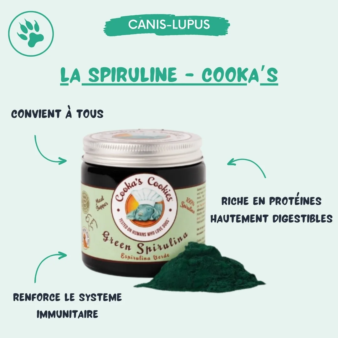 La Spiruline