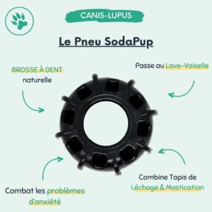 Le Pneu SodaPup