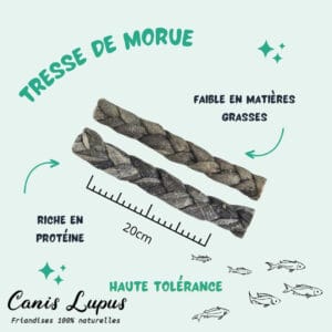 Tresse en Peaux de Morue