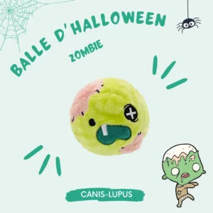 Balle Zombie