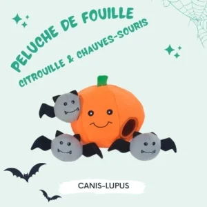 Citrouille et chauves-souris