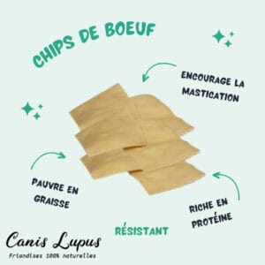 Chips de Boeuf