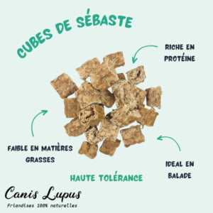 Cubes de Sébaste