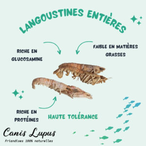 Langoustines entières
