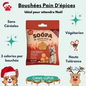 Bouchées Pain D'épices