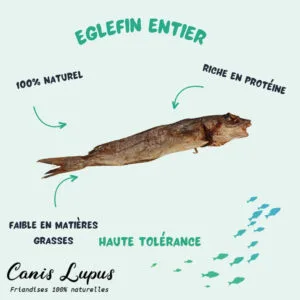 Eglefin Entier