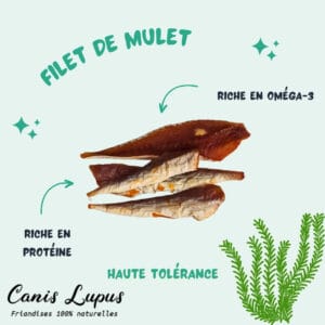 Filet de Mulet