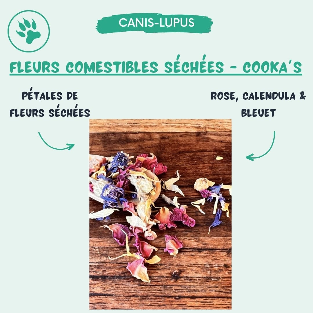 40 Fleurs Séchées Comestibles | 8 Styles Pressés | Pour Décoration Gâteaux, Résine, Artisanat | Qualité Alimentaire