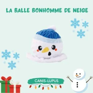 La balle Bonhomme de neige