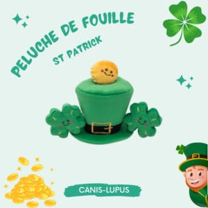 Peluche St Patrick