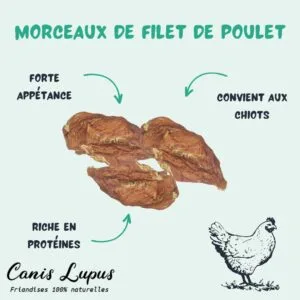 Morceaux de Filet de Poulet