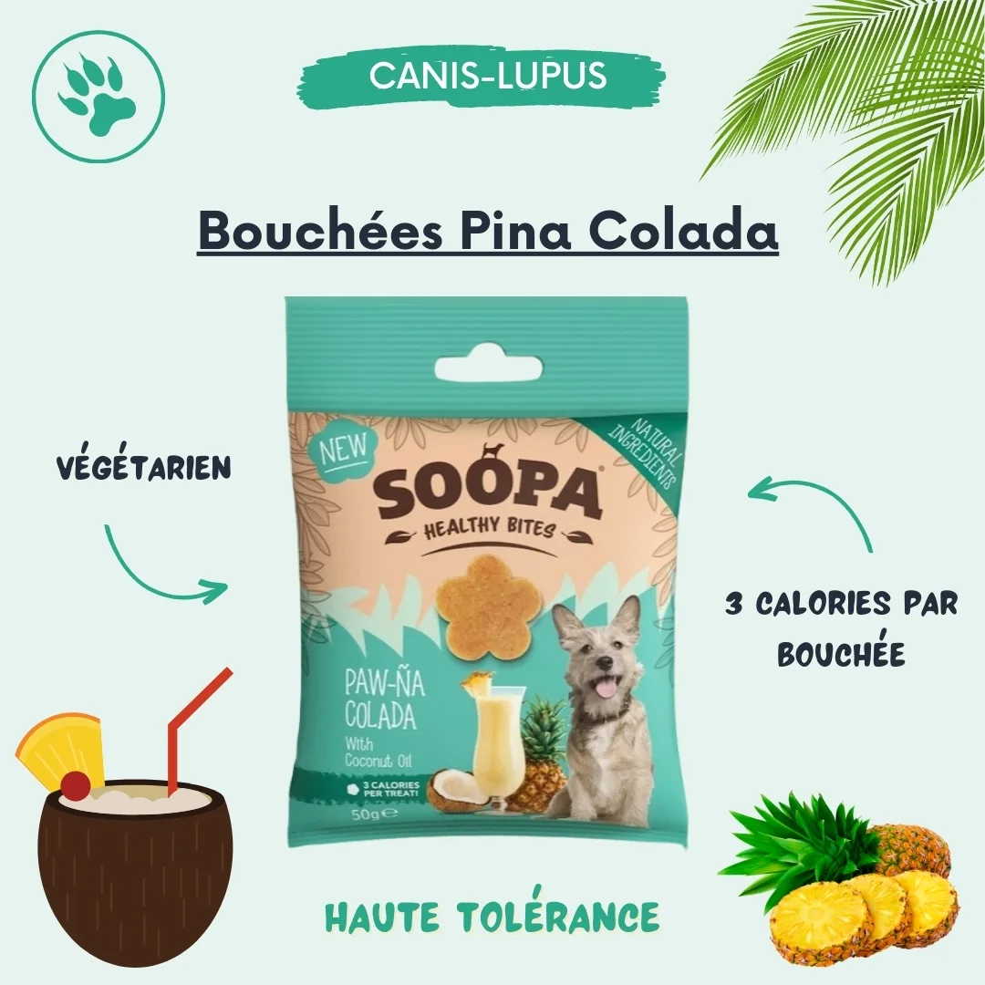 Bouchées Pina Colada