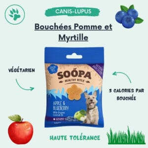 Bouchées Pomme et Myrtille