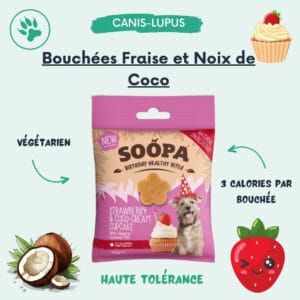 ouchées CupCakes Fraise Coco