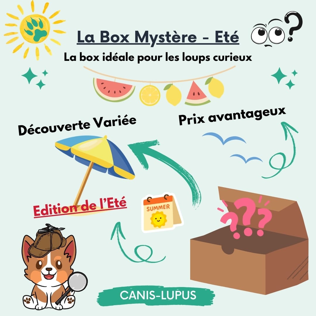 La Box Mystère Eté