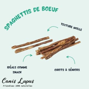 Spaghettis de Boeuf