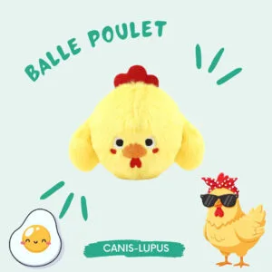 Balle Poulet