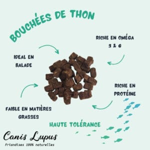 Bouchées de Thon