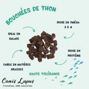Bouchées de Thon