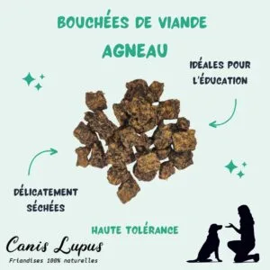 Bouchées de Viande d'Agneau
