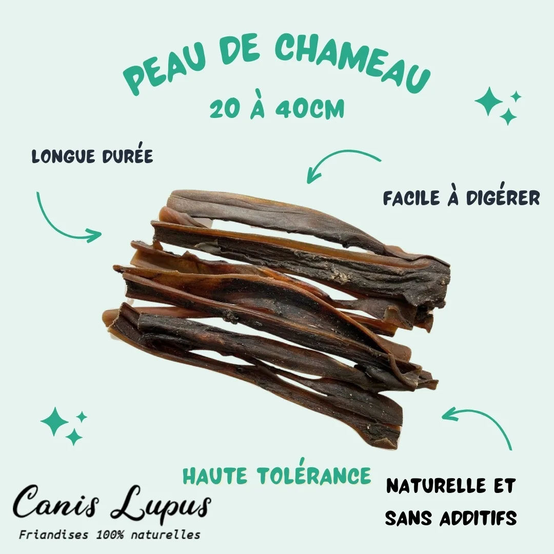 Grandes Peaux de Chameau