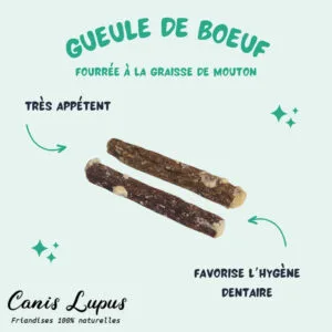 Gueule de Boeuf Farçie