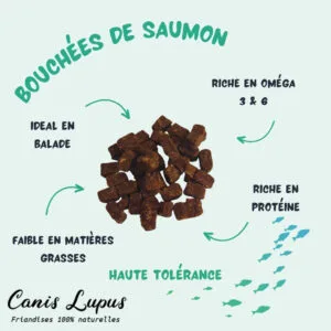Bouchées de Saumon