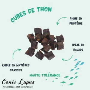 Cubes de Thon