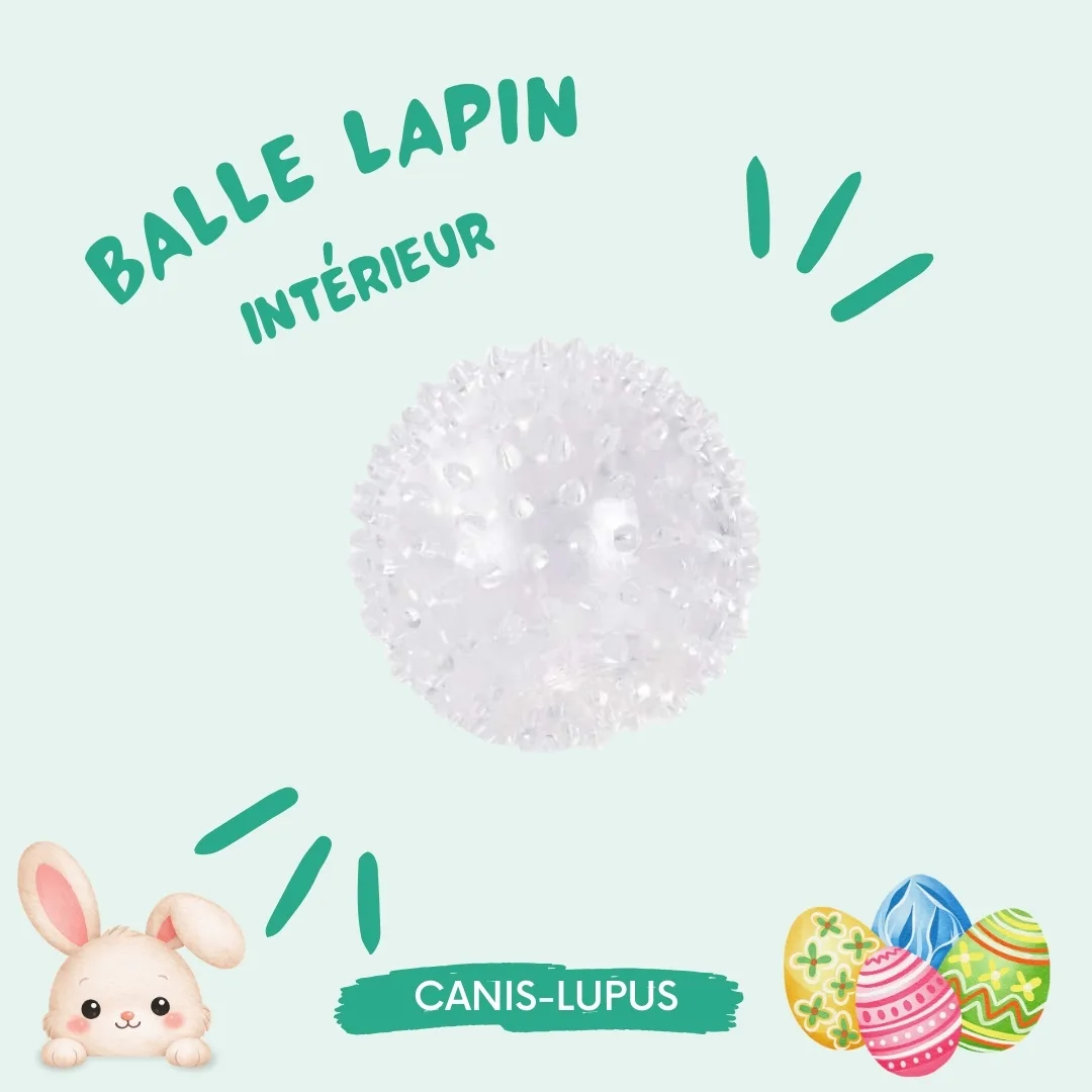 Balle Lapin Intérieur