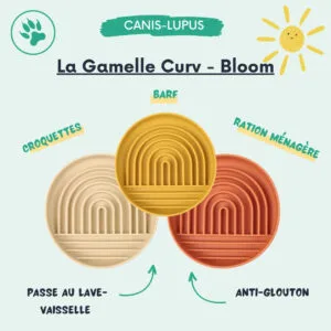 Gamelle Bloom Curv