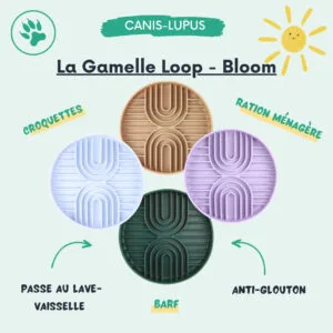 Gamelle Bloom Loop