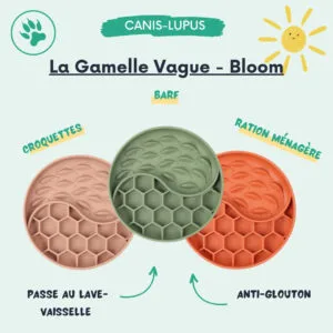 Gamelle Bloom Vague