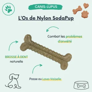 L'Os de Nylon SodaPup