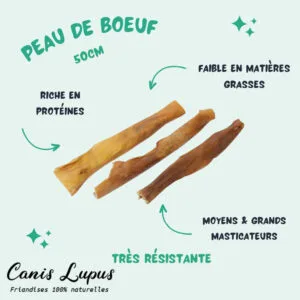Peau de Boeuf 50cm