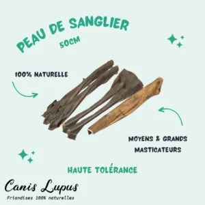 Peau de Sanglier 50cm