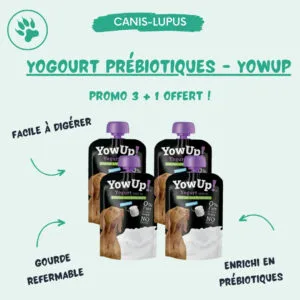 Yogourt Prébiotiques - Promo