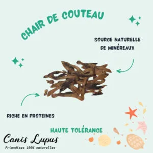 Chair de Couteau de Mer Déshydratées