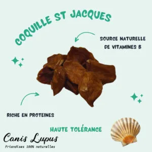Coquille Saint-Jacques Déshydratée