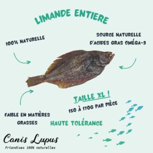 Limande Entière XL