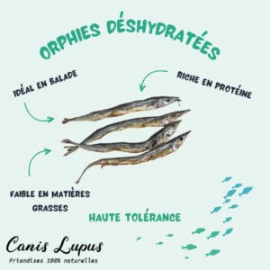 Orphies Déshydratées