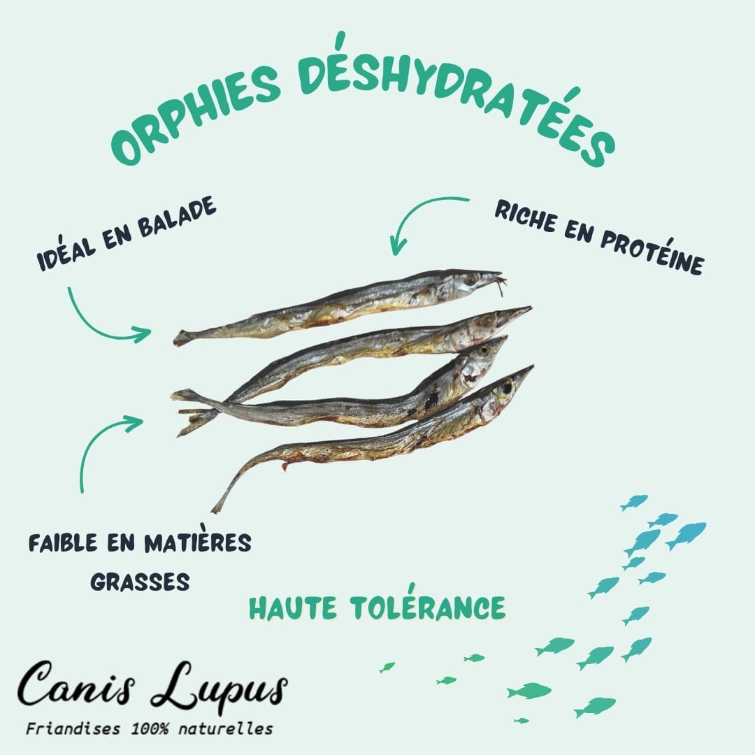 Orphies Déshydratées