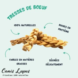 Tresses de Boeuf